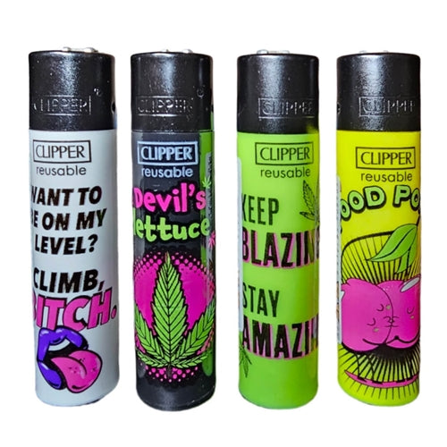 CLIPPER STATEMENTS LARGE (48 PK)