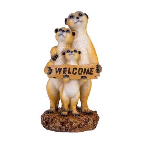 MEERKAT FAMILY WELCOME