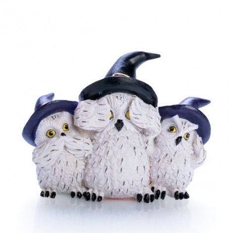 3 WISE SNOWY OWLS