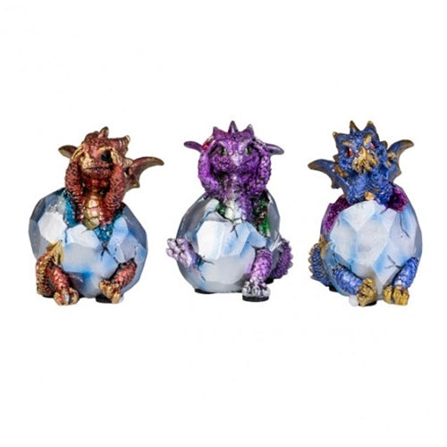 3 WISE BABY DRAGONS
